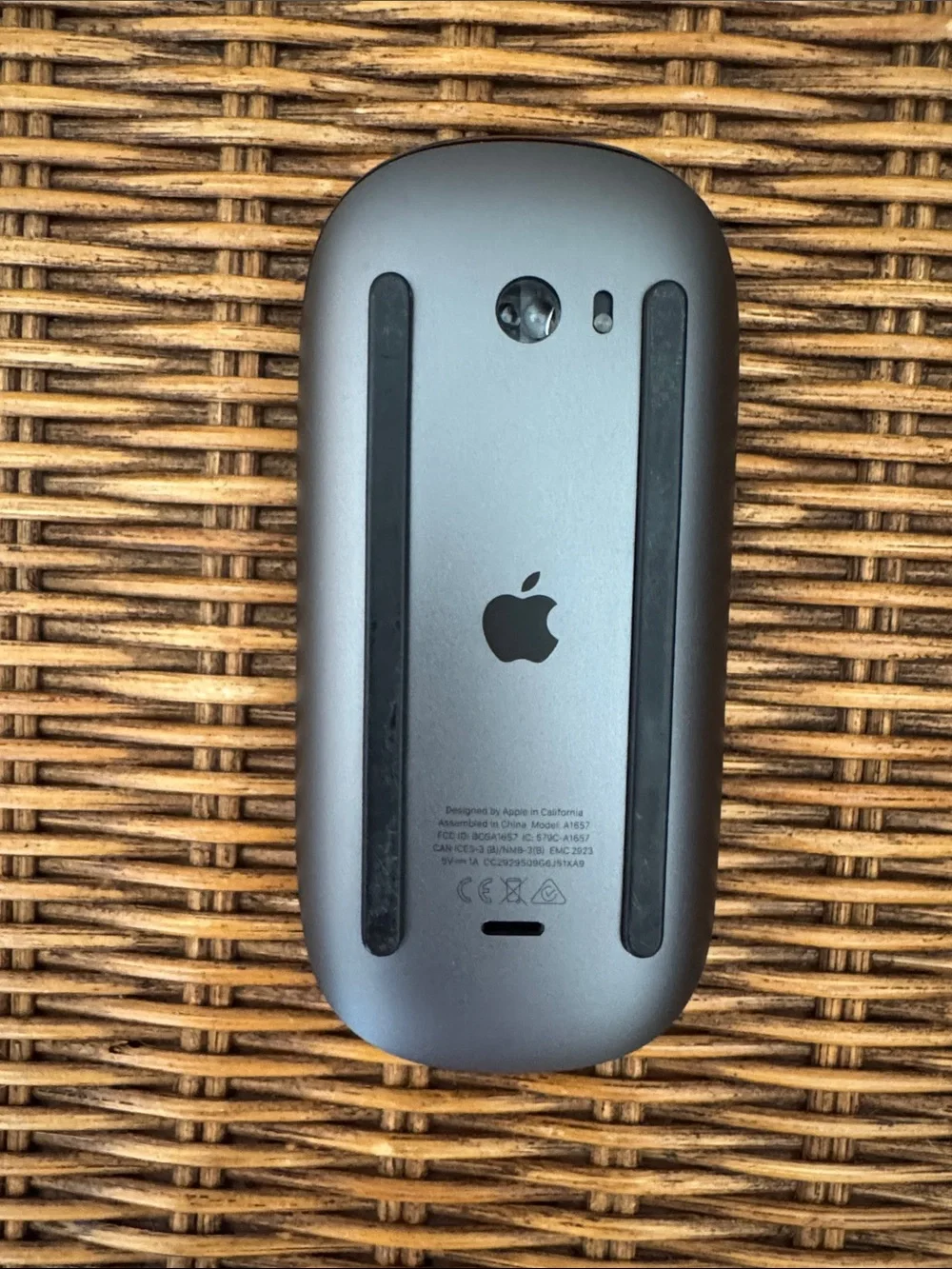 Apple magic mouse